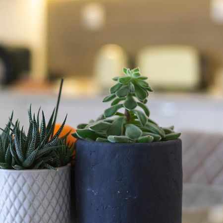 Casas Da Oliveira Apartment Setubal Ngoại thất bức ảnh